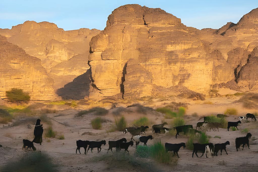 Troupeau de chèvres